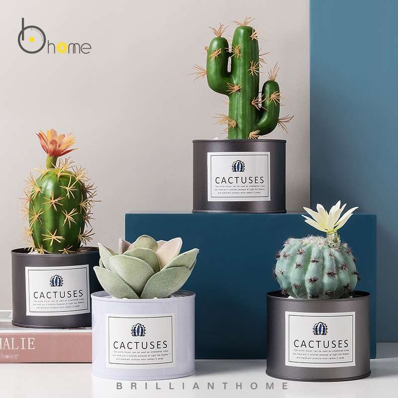 Hanlv Handicrafts, creative simulation cacti, succulents, potted plants, bonsai, home decoration items, coffee tables, TV cabinets, dining table top decorations undefined