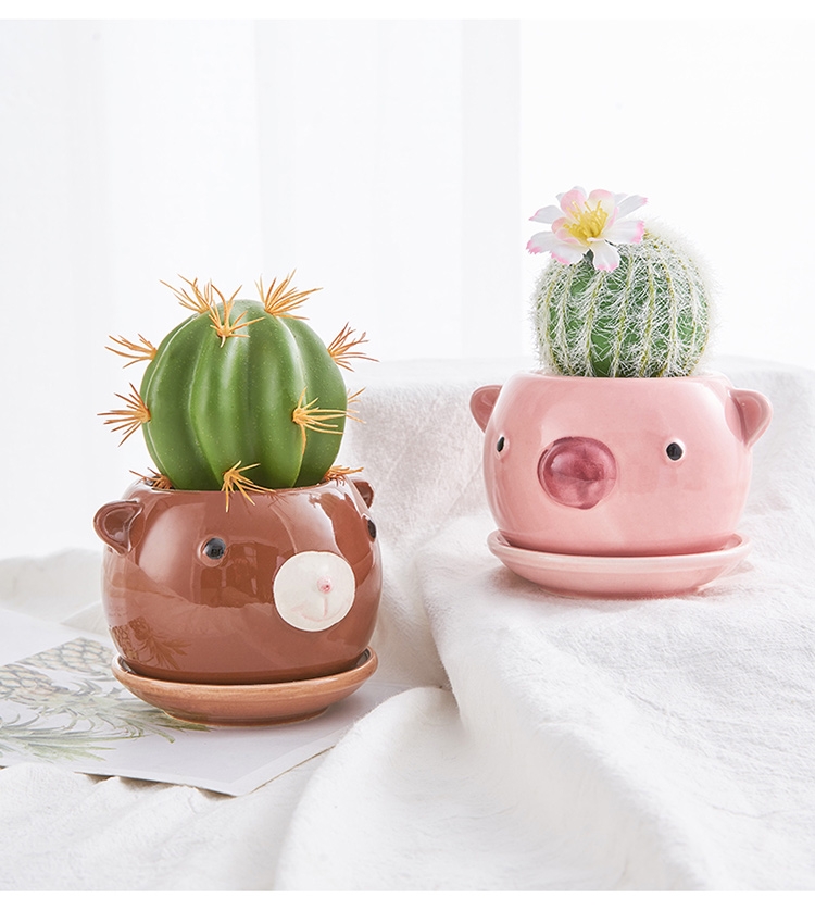 Hanlv Handicrafts Creative animal simulation succulent plant potted bonsai undefined