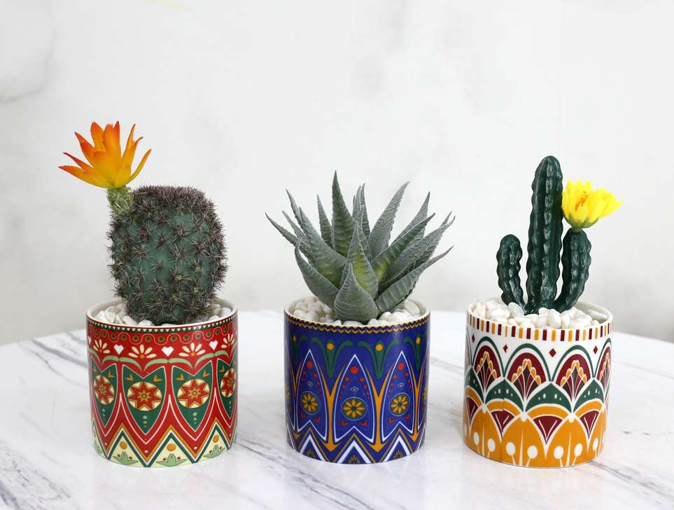 Hanlv Handicrafts Creative Ceramic Bohemian-style simulated succulent Plant potted bonsai undefined