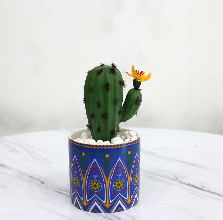 Hanlv Handicrafts Creative Ceramic Bohemian-style simulated succulent Plant potted bonsai Application Scenario
