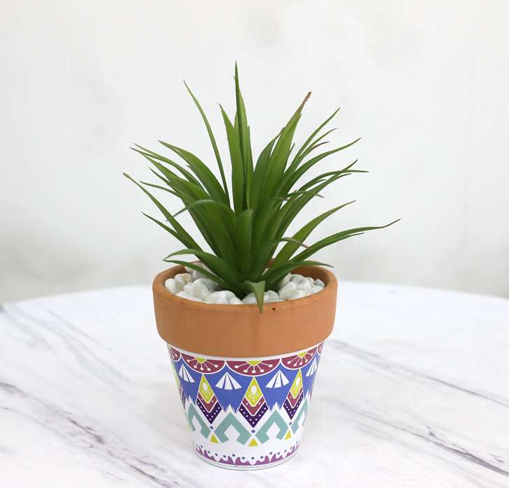 Bohemian-style creative artificial flower plant ornaments featuring simulated succulent plant potted plants and bonsai details Picture