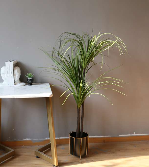 The popular large-scale artificial tree, the Dragon's Blood Tree and the Brazilian iron tree, have become bestsellers on the Internet details Picture