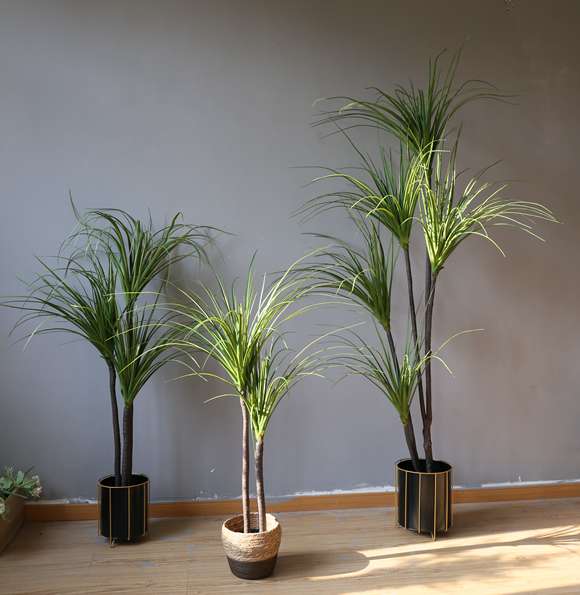 The popular large-scale artificial tree, the Dragon's Blood Tree and the Brazilian iron tree, have become bestsellers on the Internet Application Scenario