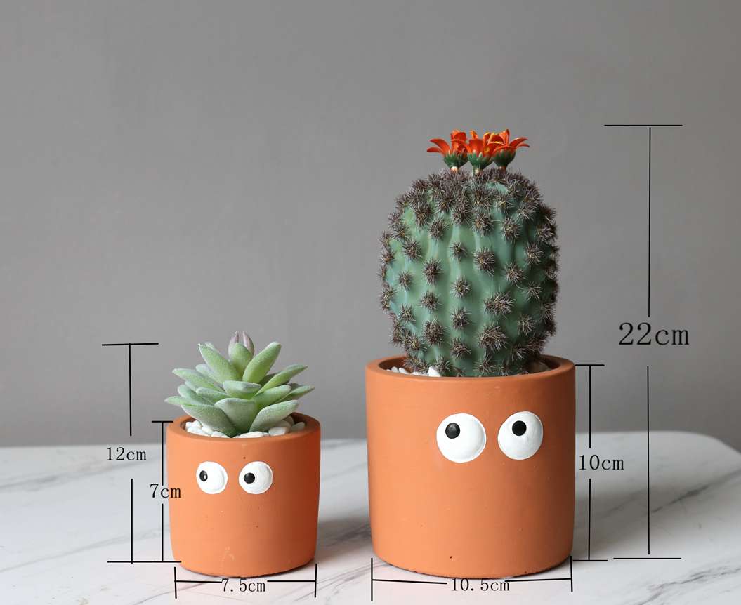 Hanlv handicrafts, creative simulation succulent plant potted plants, bonsai, home decoration ornaments, coffee tables, TV cabinets, dining tables, tabletop decorations, cute items Specification image