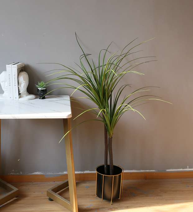 The popular large-scale artificial tree, the Dragon's Blood Tree and the Brazilian iron tree, have become bestsellers on the Internet Item Picture