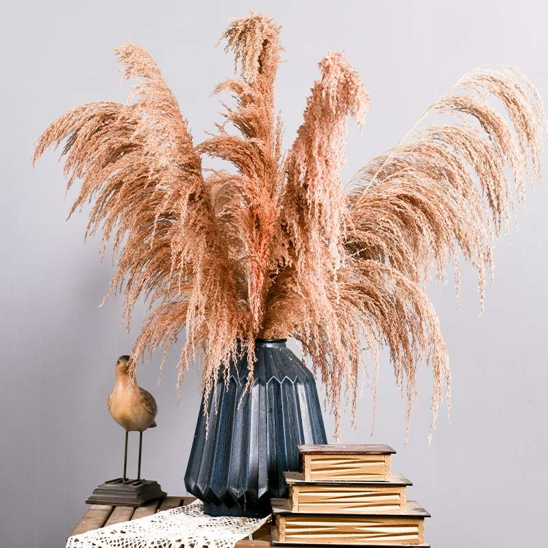 Single reed onion grass wedding decorative items, window display decoration props, and visual merchandising ornaments Application Scenario