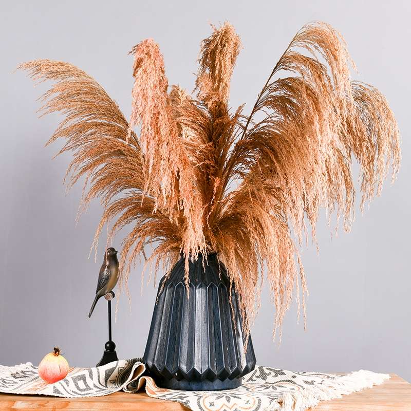 Single reed onion grass wedding decorative items, window display decoration props, and visual merchandising ornaments undefined