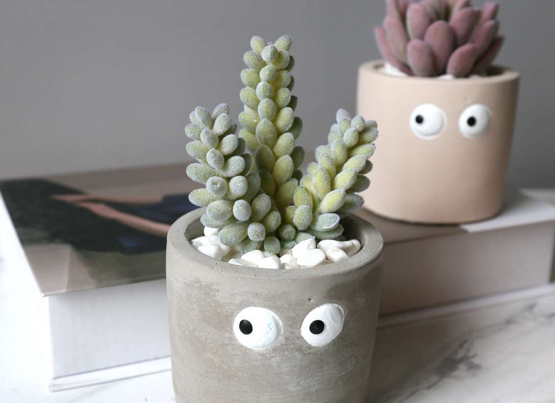 Hanlv handicrafts, creative simulation succulent plant potted plants, bonsai, home decoration ornaments, coffee tables, TV cabinets, dining tables, tabletop decorations, cute items undefined