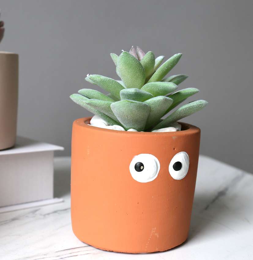 Hanlv handicrafts, creative simulation succulent plant potted plants, bonsai, home decoration ornaments, coffee tables, TV cabinets, dining tables, tabletop decorations, cute items Application Scenario