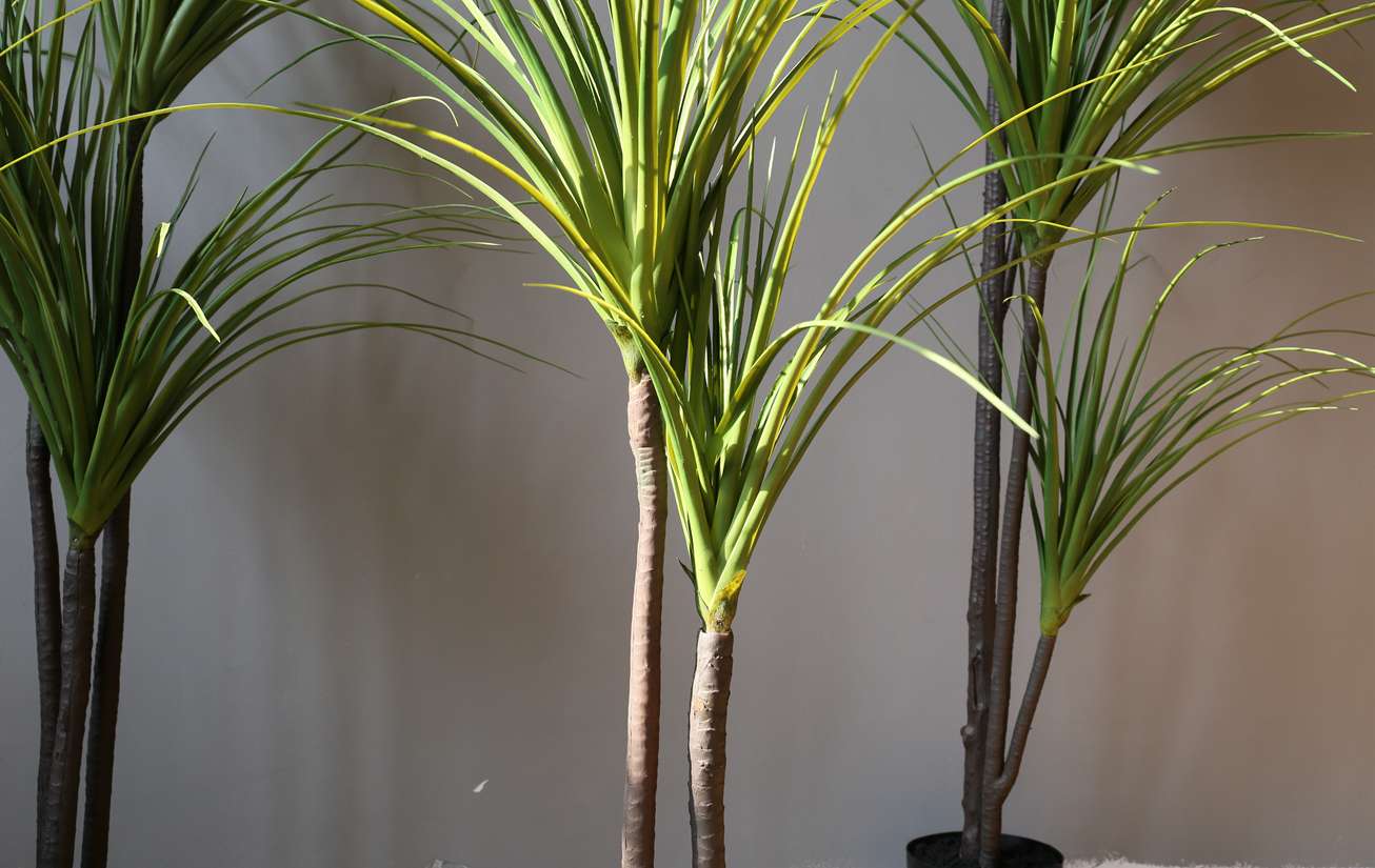 The popular large-scale artificial tree, the Dragon's Blood Tree and the Brazilian iron tree, have become bestsellers on the Internet undefined