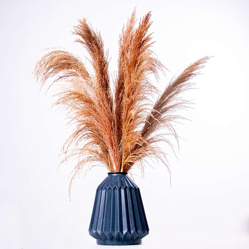 Single reed onion grass wedding decorative items, window display decoration props, and visual merchandising ornaments Item Picture