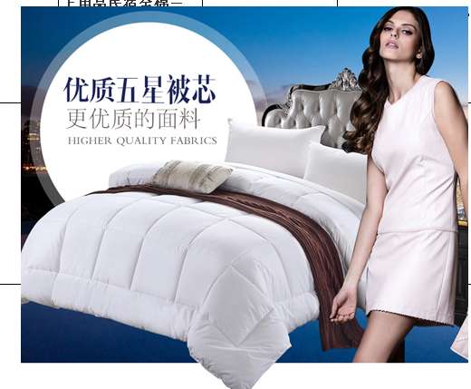 五星级酒店被子被芯四季全棉空调被宾馆加厚羽丝绒保暖夏凉被冬被