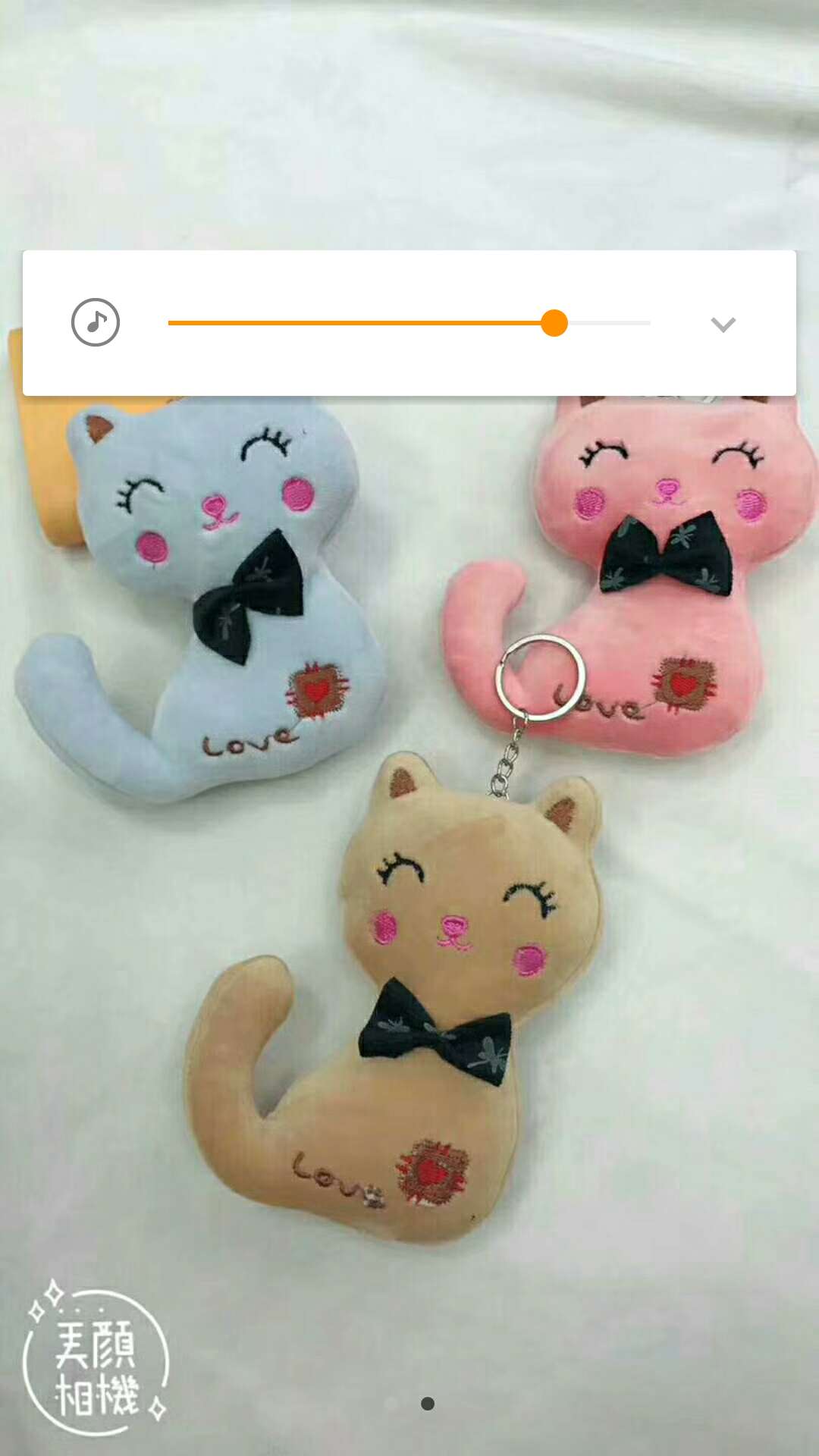 小猫