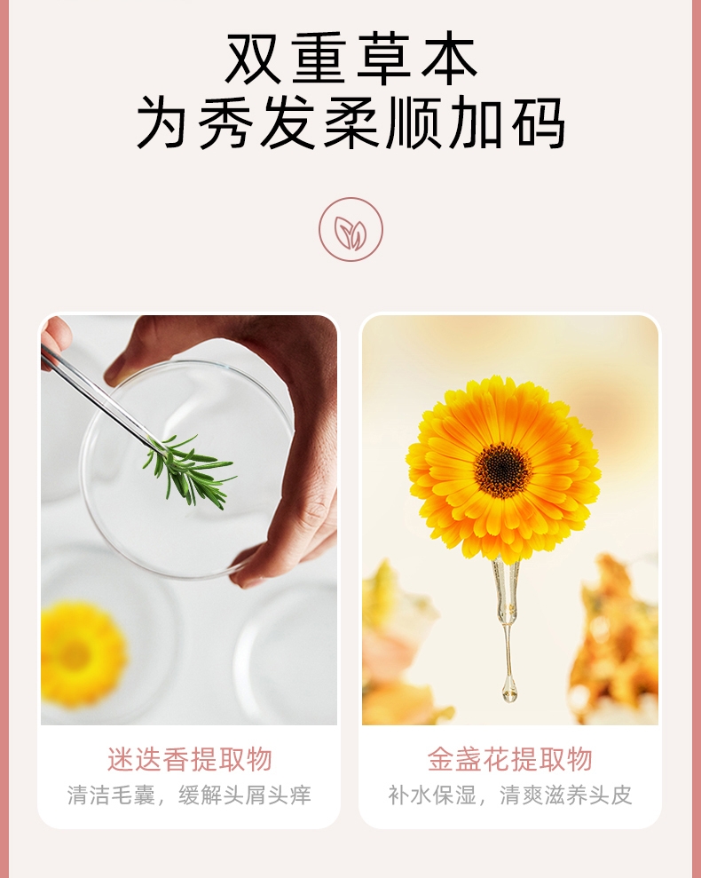 Find A Nourishing Scalp Fluffy Oil Control Shampoo & Conditioner Set Sakura Limited undefined