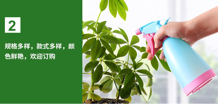 糖果色洒水壶浇水壶 手压式浇花塑料喷雾器 吹塑容器详情图6