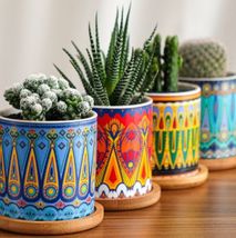 北欧风格圆柱陶瓷花盆彩色陶瓷花盆简约家居植物盆栽花盆