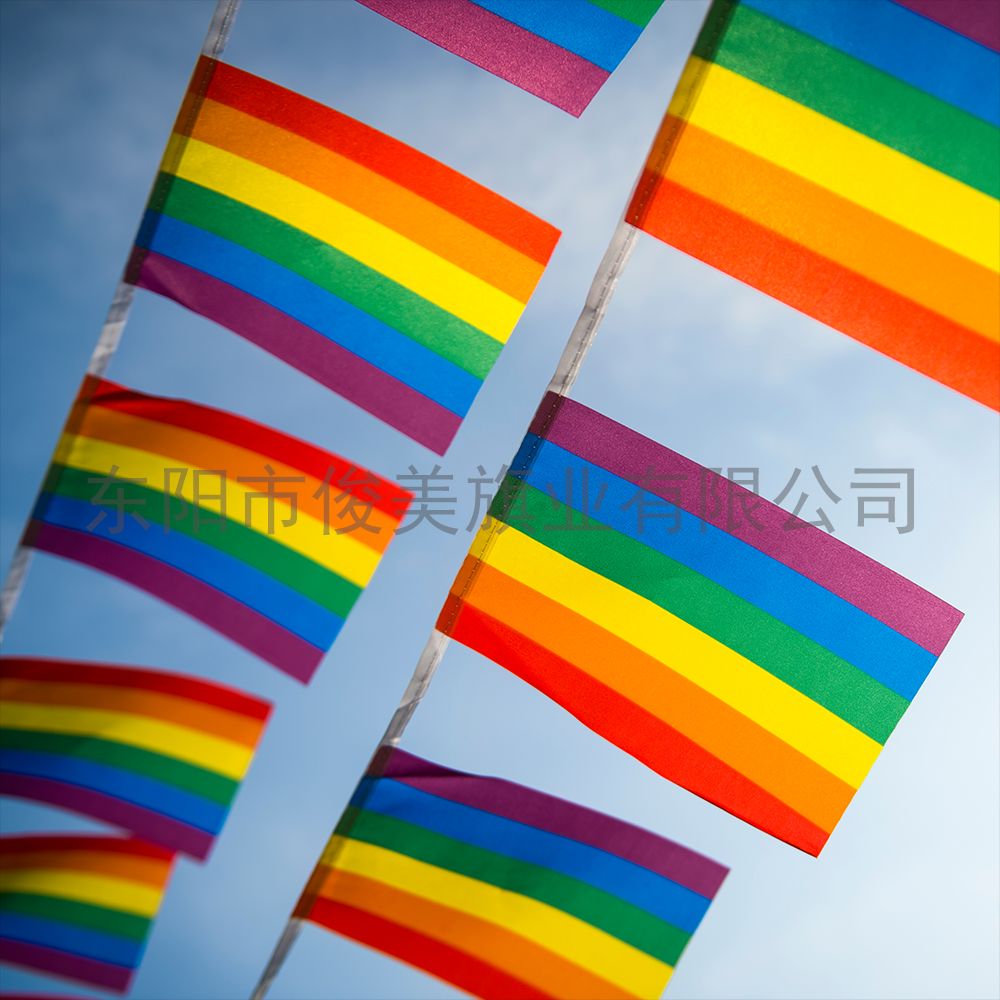 可批发可定制90*150cm彩虹旗同性恋旗和平旗国旗详情图2