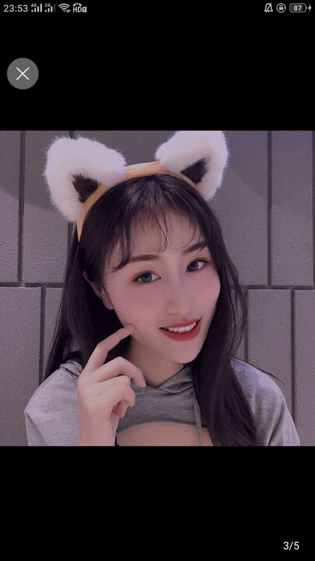 可爱大猫儿