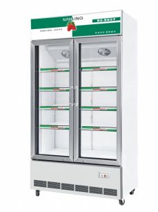 Double-door refrigeration and preservation cabinet, vertical supermarket beverage display cabinet, commercial cold cabinet, 1020*600*2030mm