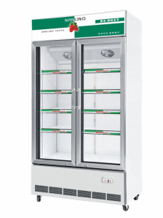 Double-door refrigeration and preservation cabinet, vertical supermarket beverage display cabinet, commercial cold cabinet, 1020*600*2030mm detail image 2