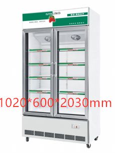 Double-door refrigeration and preservation cabinet, vertical supermarket beverage display cabinet, commercial cold cabinet, 1020*600*2030mm Application Scenario