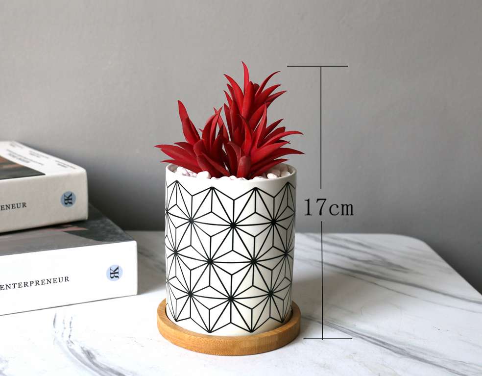 Wholesale of Hanlv artificial succulent plant potted bonsai sets detail image 9