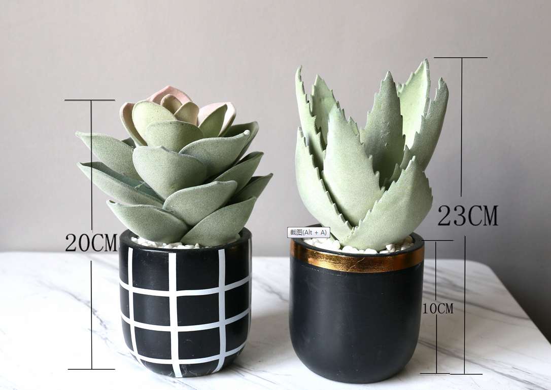 Hanlv Handicrafts, creative simulation cactus potted plants, bonsai, home decoration items, coffee tables, TV cabinets, dining tables, and tabletop decorations details Picture