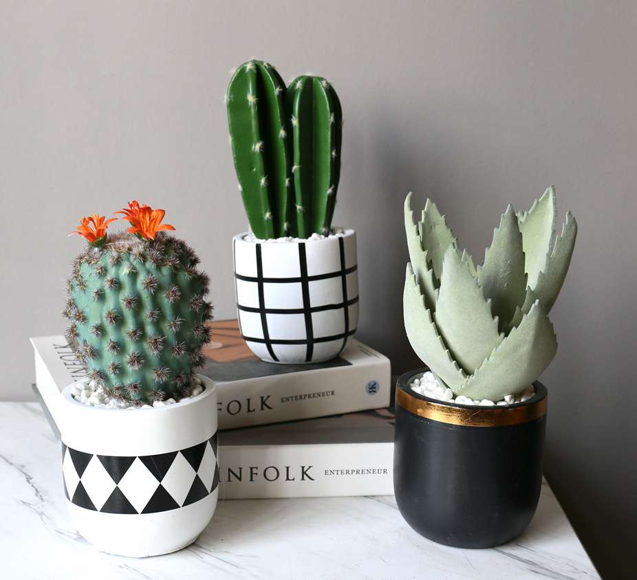 Hanlv Handicrafts, creative simulation cactus potted plants, bonsai, home decoration items, coffee tables, TV cabinets, dining tables, and tabletop decorations detail image 2