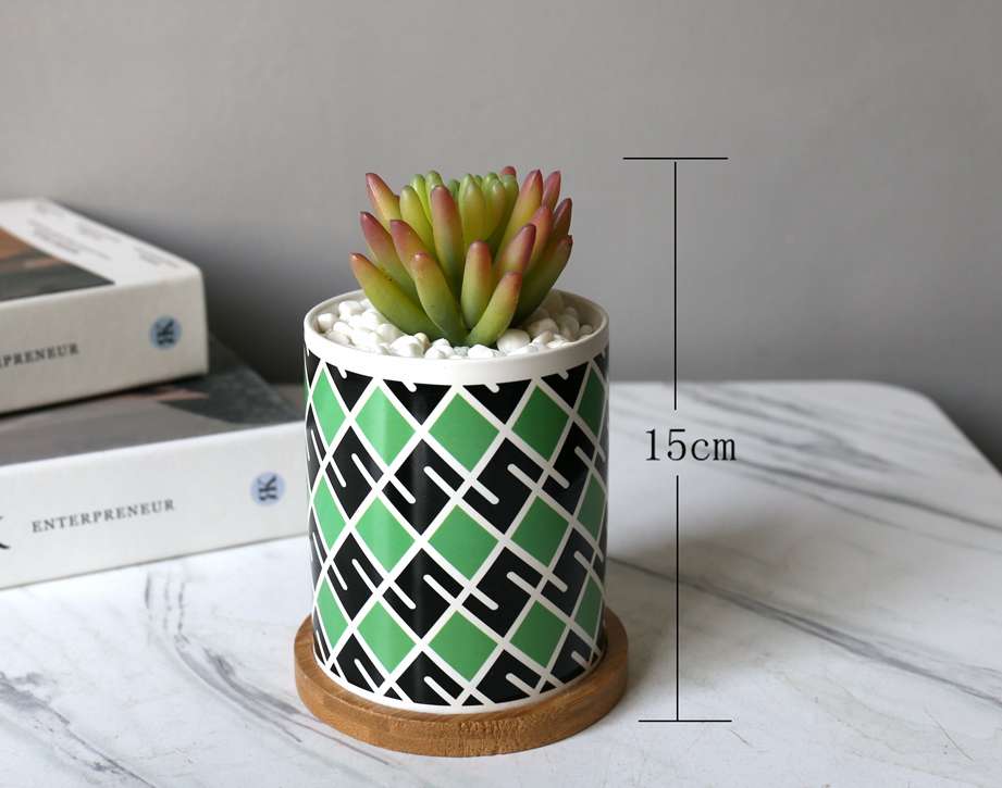 Hanlv simulation succulent plant potted plants, bonsai, home decoration ornaments, coffee tables, TV cabinets, dining table top decorations detail image 1