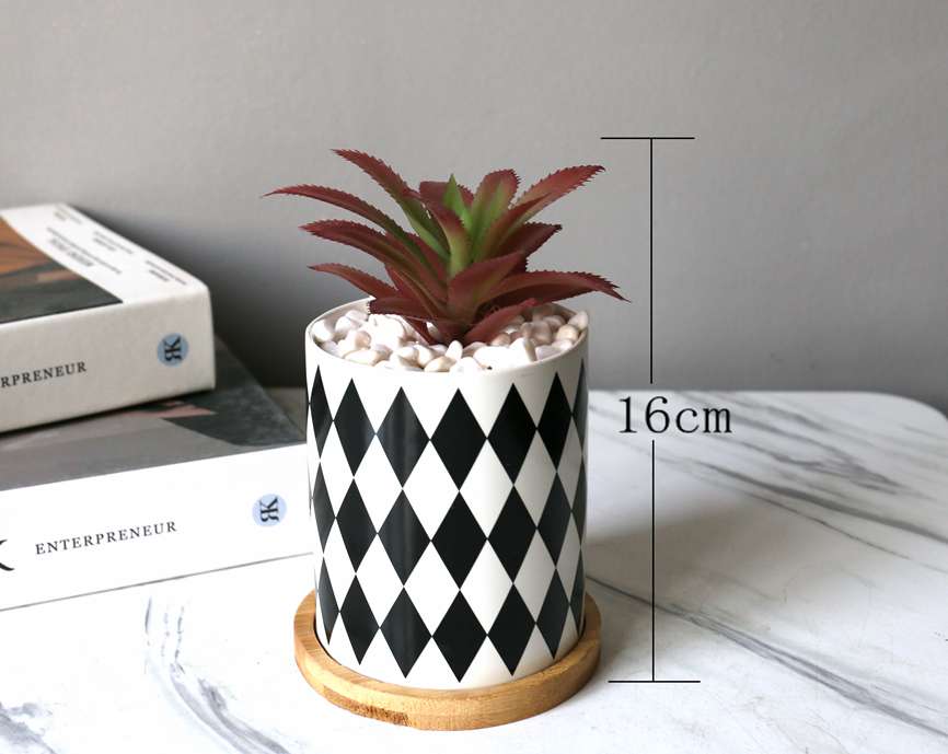 Wholesale of Hanlv artificial succulent plant potted bonsai sets detail image 2