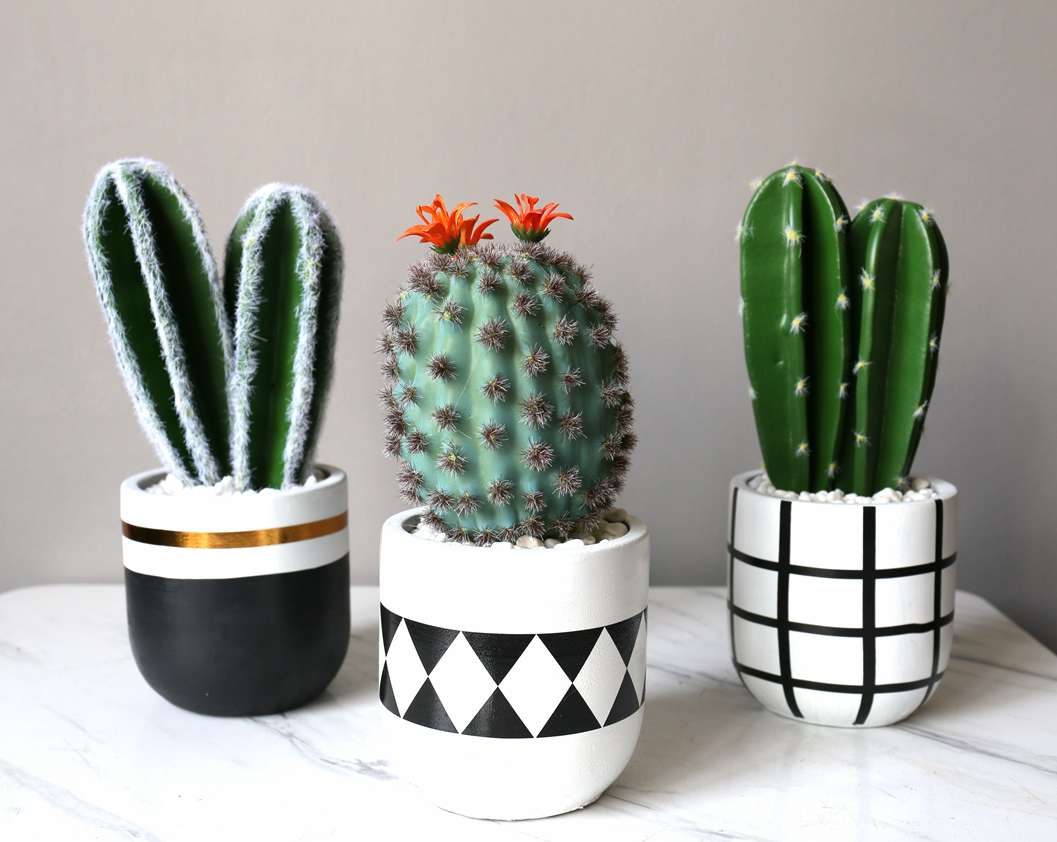 Hanlv Handicrafts, creative simulation cactus potted plants, bonsai, home decoration items, coffee tables, TV cabinets, dining tables, and tabletop decorations detail image 9