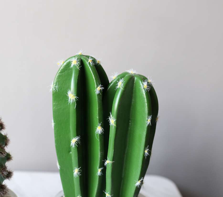 Hanlv Handicrafts, creative simulation cactus potted plants, bonsai, home decoration items, coffee tables, TV cabinets, dining tables, and tabletop decorations detail image 1