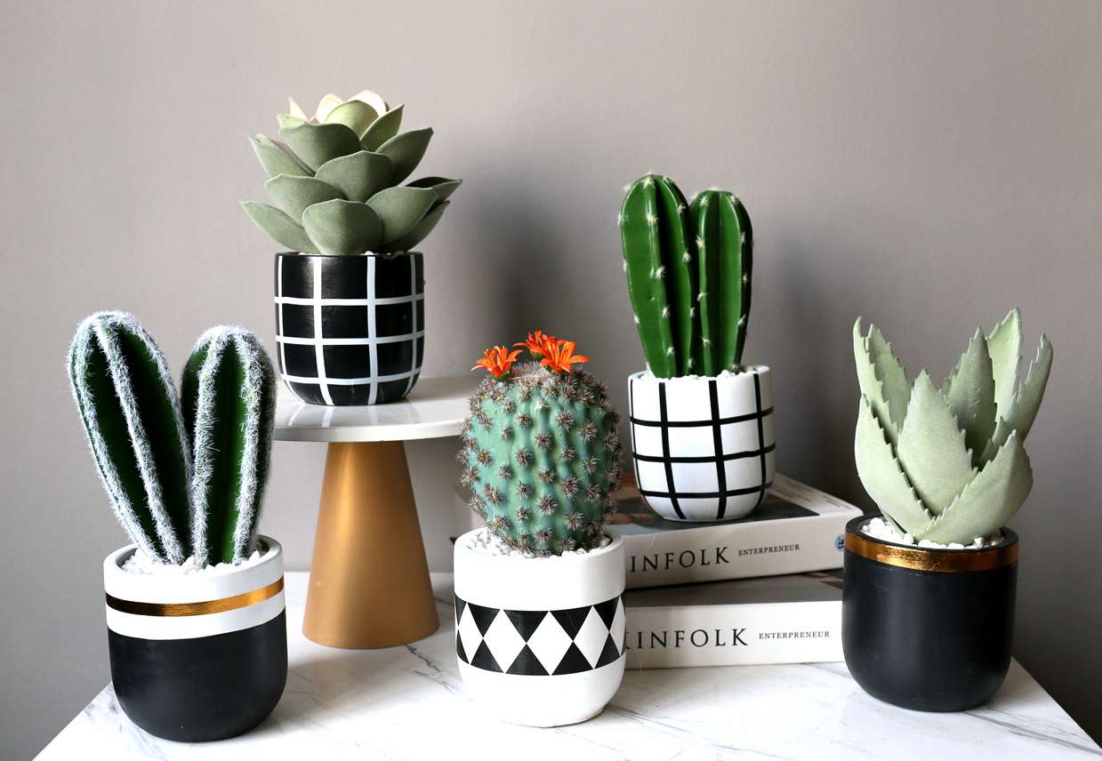 Hanlv Handicrafts, creative simulation cactus potted plants, bonsai, home decoration items, coffee tables, TV cabinets, dining tables, and tabletop decorations detail image 8