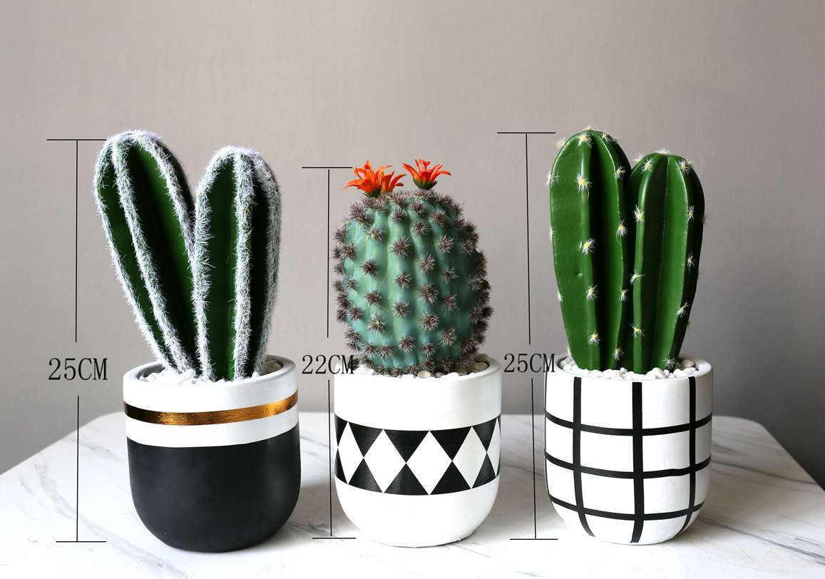 Hanlv Handicrafts, creative simulation cactus potted plants, bonsai, home decoration items, coffee tables, TV cabinets, dining tables, and tabletop decorations Specification image