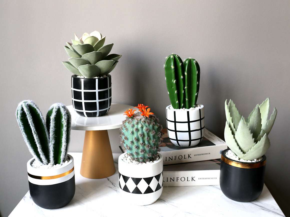 Hanlv Handicrafts, creative simulation cactus potted plants, bonsai, home decoration items, coffee tables, TV cabinets, dining tables, and tabletop decorations detail image 5