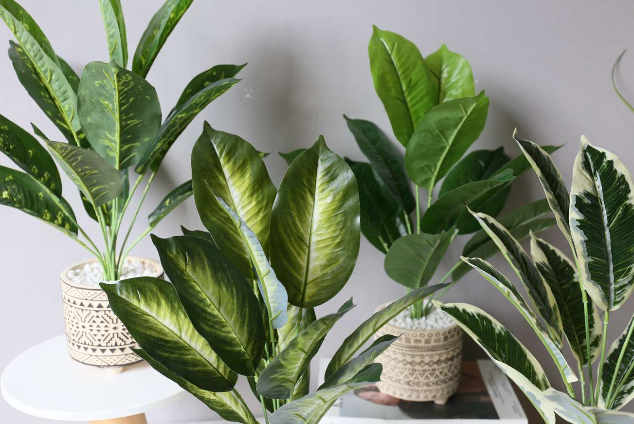 Hanlv simulation turtle-back Leaf bonsai home decoration ornaments, coffee tables, TV cabinets, dining table top decoration potted plants Application Scenario