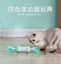 新款自嗨猫玩具宠物新品电动逗猫棒自动滚动羽毛球