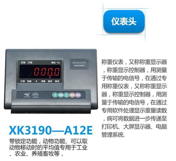 上海耀华智能电子地磅秤1-3吨 高精度工业地磅平台秤 厂家直销 电子称 汽车称详情图8