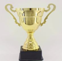 T152C 23CM metal trophy