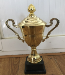 T162B 32CM metal trophy detail image 1