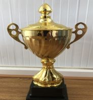T167C 28CM metal trophy