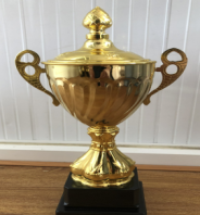 T167C 28CM metal trophy detail image 1