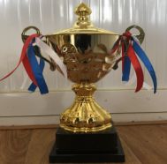 T164B 32CM metal trophy