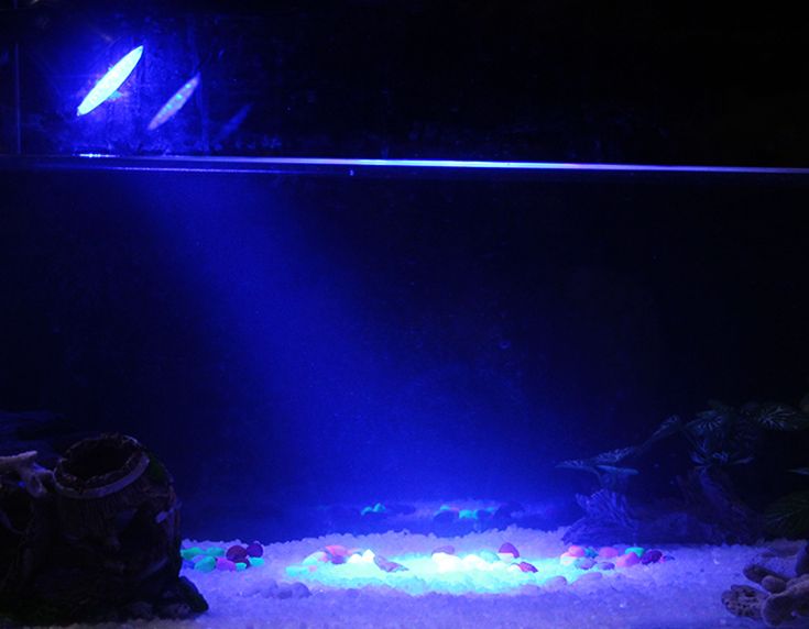 鱼缸射灯 水族照明灯led防水鱼缸灯潜水灯七彩变色鱼缸小夜灯详情图4