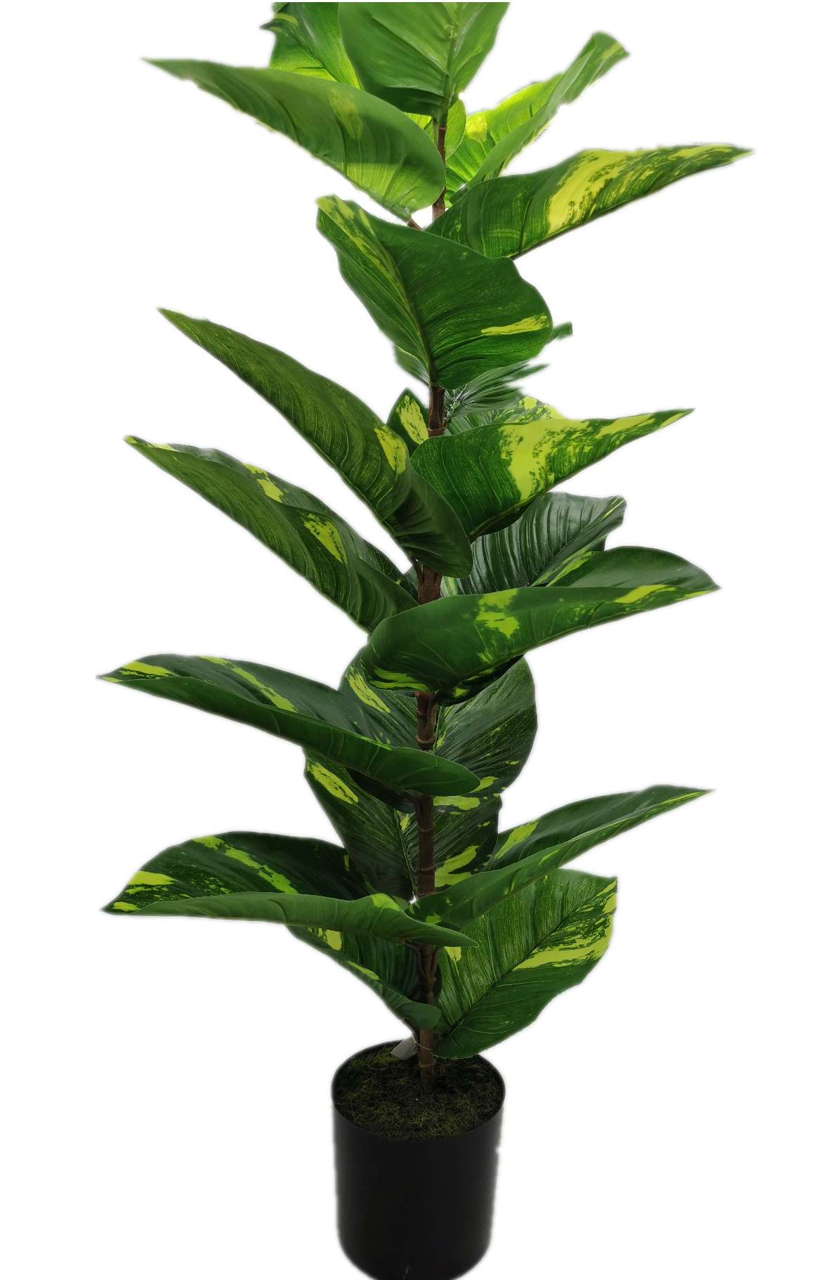 万年青大号热带仿真植物家居工艺品室内装饰人造植物盆栽