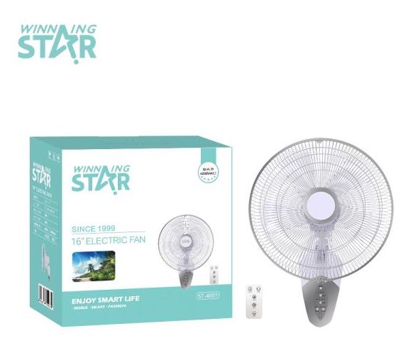 DFS-4020-WST-VDE WALL MOUNTED FAN thumbnail
