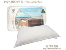 澳洲考拉 高级羊毛枕