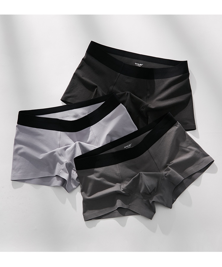 Men's Underwear 208