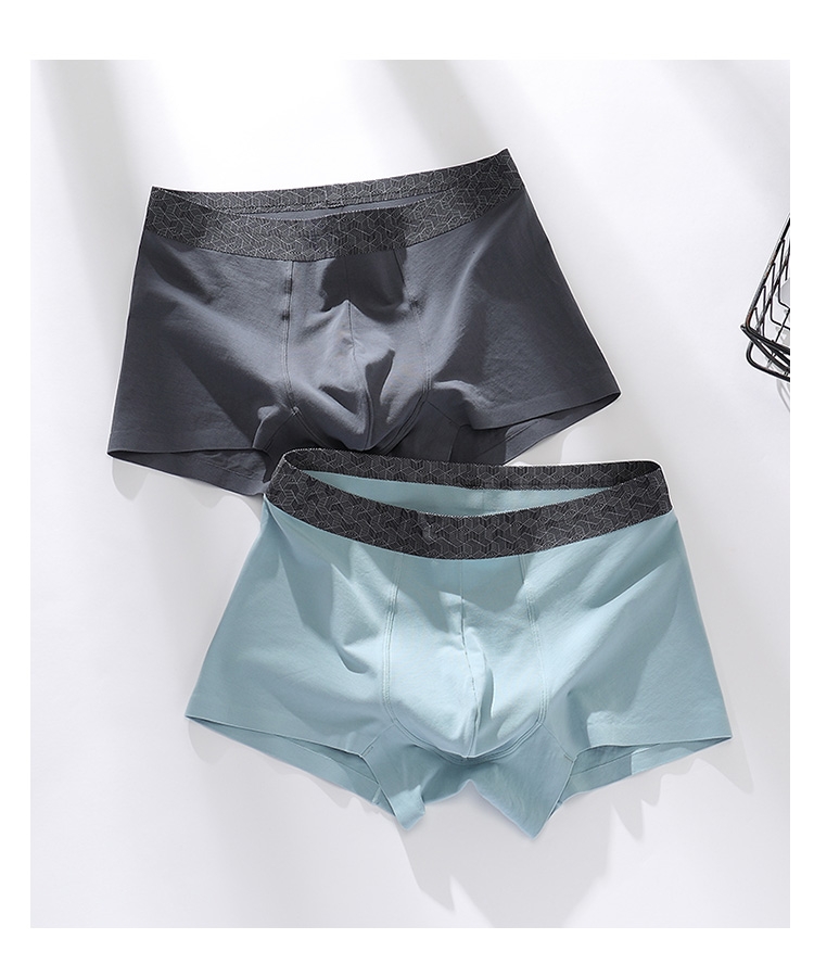 Men's Underpants 209