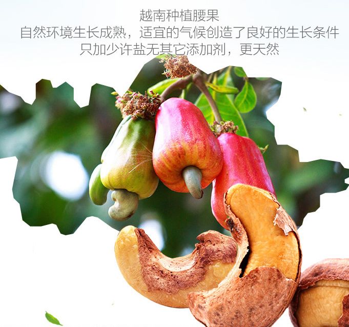 康源蓝盐焗腰果细节图